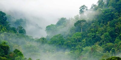 La Biosthetique Klimaneutral